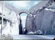 ���� ������ ��� 1961